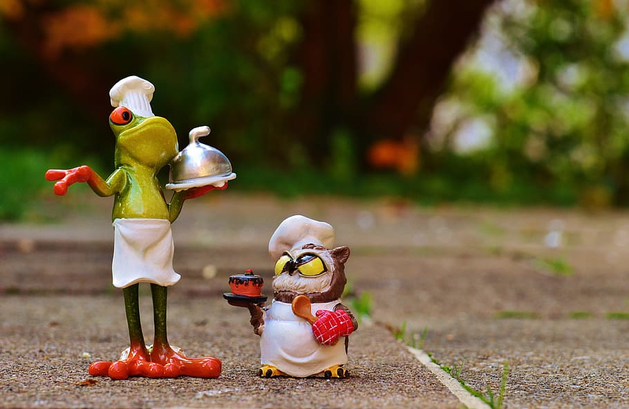 chef frig, accanto, chef gufo, portando, figurine di torta, grigio, superficie, rana, gufo, infornare, concorrenza, divertente, cucinare, carina, cucinando, panettiere, vincere, rappresentazione, rappresentazione umana, giocattolo, infanzia, figurina, concentrarsi sulle conoscenze acquisite, Bambola, somiglianza femminile, arte e artigianato, somiglianza maschile, creatività, giorno, pupazzo di pezza, natura, tavolo, all'aperto, robot, antico, piccolo, 4K