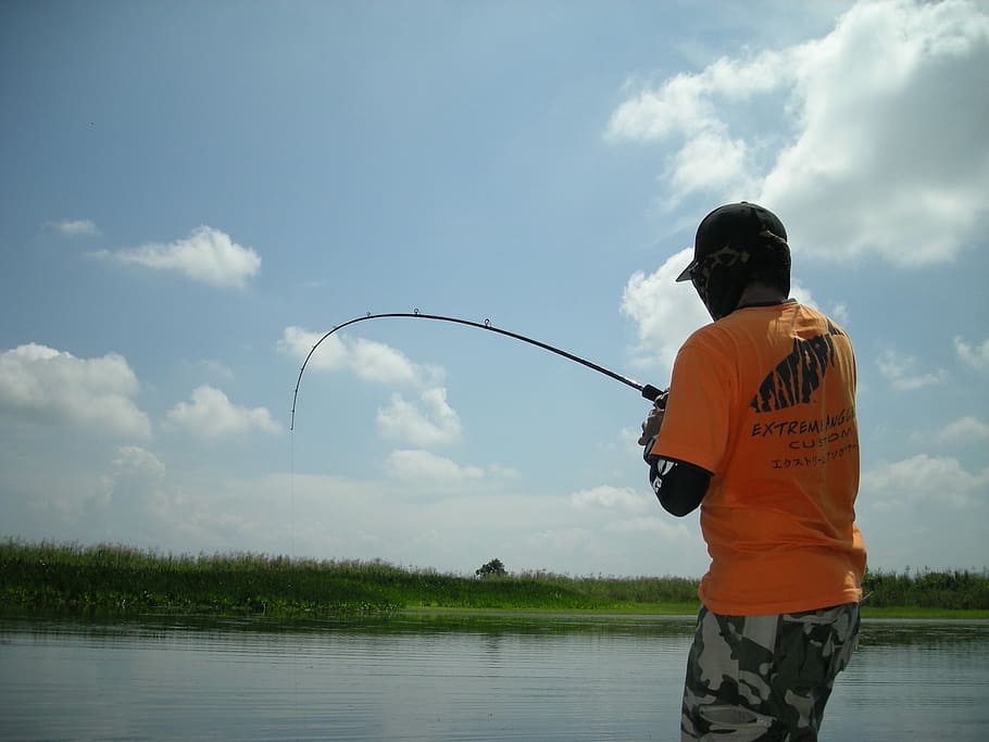 lystfiskeri, fisk, fangst, hobby, ferskvand, lystfisker, fiskeri, fisker, kun en mand, stående, midt voksen, kun mænd, en person, sky - himmel, vand, himmel, herrer, tre kvart længde, rigtige mennesker, bagfra, natur, fritidsaktivitet, stang, dag, livsstil, sø, fiskestang, sikkerhed, udendørs, 2K