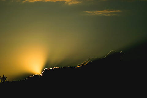 zonneschijn, wolken, zonsondergang, gouden uurfoto, silhouet, bomen, wit, bewolkt, hemel, reflectie, zon, wolk, top, natuur, achtergronden, buitenshuis, schemer, zomer, geel, geen mensen, Vakantiebestemmingen, schoonheid in de natuur, kalmte, kopie ruimte, scenics - natuur, rustige scène, fabriek, berg-, zonlicht, milieu, idyllisch, backlit, detailopname, 2K, CC0, publiek domein, royaltyvrij