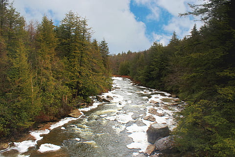 riu, pi, arbres, bosc, naturalesa, paisatge, muntanya, a l'aire lliure, arbre, planta, aigua, cap gent, escenics - natura, bellesa a la natura, terra, escena no urbana, cel, dia, rock, núvol - cel, tranquil·litat, medi ambient, aigua que flueix, rierol: aigua que flueix, arbre de coníferes, bosc de pi, que flueix, 5K, CC0, domini públic, lliure de regalies