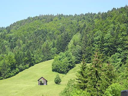 montañas, reportado, alm, color verde, planta, árbol, crecimiento, belleza en la naturaleza, escena tranquila, tranquilidad, paisajes - naturaleza, día, naturaleza, tierra, paisaje, escena no urbana, follaje, exuberante follaje, ambiente, campo, idílico, nadie, cielo, al aire libre, 2K, CC0, dominio público, libre de derechos