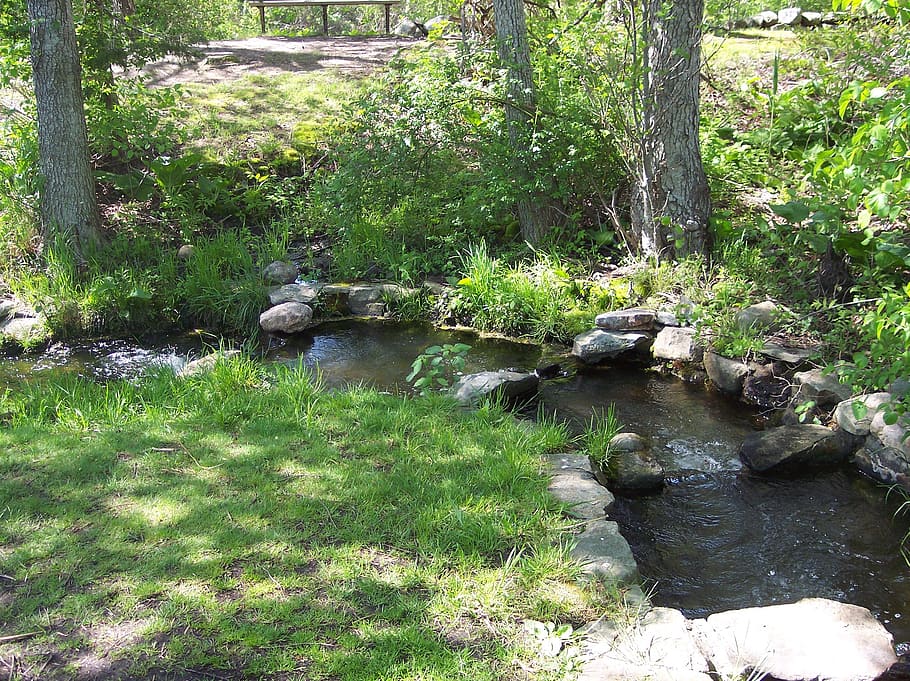 ruscello, rocce, fluente, gorgogliante, freddo, acqua, rinfrescante, torrente, pietre, ombreggiato, primavera, fiume, pianta, albero, foresta, natura, bellezza nella natura, crescita, la tranquillità, solido, roccia, terra, scena tranquilla, giorno, scenics - natura, roccia - oggetto, nessuno, scena non urbana, colore verde, acqua corrente, all'aperto, flusso - acqua che scorre, 2K