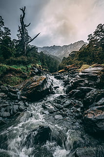 Foto, flod, omgivet, klipper, flodstrøm, træer, overskyet, himmel, dag tid, klippe, træ, cloudscape, natur, bevægelse, udendørs, græs, Skov, sne, vand, scenics - natur, skønhed i naturen, flydende vand, rock-objekt, ingen mennesker, solid, sky - himmel, lang eksponering, flyder, bjerg, ikke-urbane scene, plante, strøm - rindende vand, magt i naturen, 5K, CC0, offentligt domæne, royaltyfrie