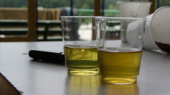 Solution, Chemistry, the attempt, container, fluid, drink, glass - Material, drinking Glass, alcohol, whiskey, liquid, table, no People, food and drink, refreshment, indoors, household equipment, glass, beer glass, beer, beer - alcohol, still life, focus on foreground, wood - material, close-up, freshness, transparent, bar counter, 4K, CC0, public domain, royalty free