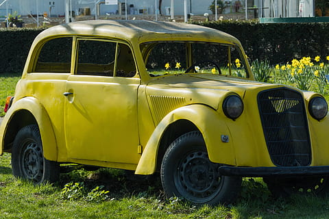 auto, Oldtimer, narcise, osterglocken, distruge, cimitirul auto, transport, mașină, mijloc de transport, vehiculul terestru, galben, de modă veche, vehicul cu motor, zi, stil retro, arhitectură, staționar, nici o persoana, mașină de epocă, oraș, plantă, călătorie, în aer liber, Taxi, parcare, construită, 5K, CC0, domeniu public, fără drepturi de autor