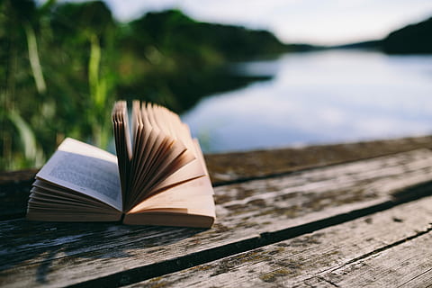 lake, Reading book, people, summer, book, opened notebook, time, old pier, evening, magic hour, wooden pier, girl reading book, boy reading book, man with book, woman with book, wooden boards, pier, literature, page, education, reading, nature, learning, textbook, paper, novel, wisdom, wood - Material, hardcover Book, no People, outdoors, document, open, diary, river, water, publication, focus on foreground, absence, day, selective focus, close-up, tranquility, sunlight, 5K