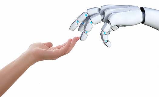human, hand, robot hand illustration, robot, touch, gesture, communication, diversity, human hand, studio shot, human body part, white background, indoors, copy space, healthcare and medicine, people, close-up, body part, holding, cut out, science, adult, women, unrecognizable person, technology, finger, human limb, 2K