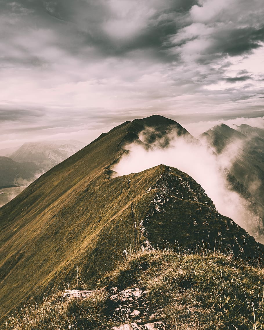 caminada de brienzergrat, ocell, fotografia d'ulls, muntanya, boires, núvols, herba, cel, captura, moment, alp, graph_et, 50 mm, af, fred, màgia, món, europa, suïssa, bellesa a la natura, escenics - natura, escena tranquil·la, núvol - cel, tranquil·litat, escena no urbana, medi ambient, idíl·lic, paisatge, remot, cap gent, naturalesa, Serra, planta, dia, majestuós, cim de muntanya, 4K