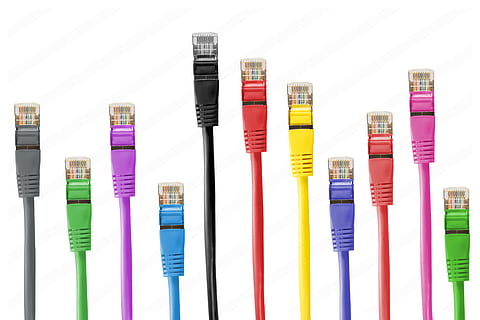 assorted-color ethernet cable lot, network cables, network connector, cable, patch, patch cable, rj, rj45, rj-45, network, line, fs, data processing, connection, plug, macro, lan, yellow, lan cable, twisted pair, colorful, color, multi colored, indoors, no people, variation, choice, studio shot, white background, container, close-up, group of objects, in a row, large group of objects, shelf, healthcare and medicine, purple, side by side, education, blue, 5K, CC0, public domain, royalty free