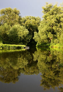 superfície, reflexió, nivell d'aigua, posta de sol, arbre, llac, a l'aire lliure, naturalesa, cap gent, planta, color verd, aigua, creixement, tranquil·litat, bellesa a la natura, dia, davant del mar, escena tranquil·la, escenics - natura, cel, bosc, transport, 2K, CC0, domini públic, lliure de regalies