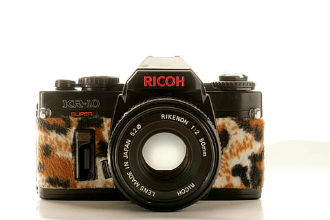 kamera, plysj, hipster, leopard, rosa, pels, gammel, årgang, tinker, søt, svart, katt, fotografering, analog, Ricoh, pentax, produkt, hvit, hvit bakgrunn, studio skudd, innendørs, teknologi, skjære ut, nærbilde, fotografering temaer, retro stylet, fotografisk utstyr, ingen folk, kamera - fotografisk utstyr, tekst, stilleben, objektiv - optisk instrument, kopiere plass, enkelt objekt, svart farge, antikk, digitalkamera, 5K, CC0, offentlig domene, opphavsrett gratis