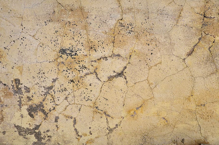 esquerdat, beix, pintat, superfície, paret, fons, fons de pantalla, imatge de fons, escriptori, fons d’escriptori, resum, estructura, textura, patró, façana, grunge, arquitectura, pedra, guix, groc, crack, espatllat, brut, aspre, cap gent, marc complet, funció de construcció de parets, estructura construïda, resistent, primer pla, naturalesa, dia, a l'aire lliure, terra, vell, vista d’angle alt, disseny, concret, efecte texturat, 4K