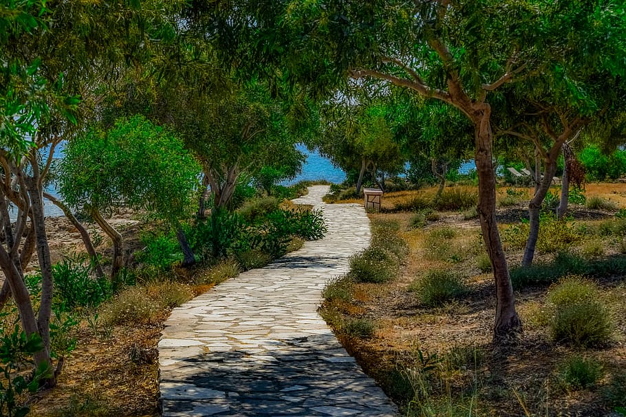 gri, patika, ağaçlar, sie, yol, sahil, peyzaj, ahşap, Makronissos, ayia napa, Kıbrıs, bitki, ağaç, ileriye giden yol, yön, büyüme, doğada güzellik, yeşil renk, huzur, doğa, insansız, sakin sahne, manzaralar - doğa, gün, arazi, açık havada, azalan perspektif, kentsel olmayan sahne, çimen, dar, 5K