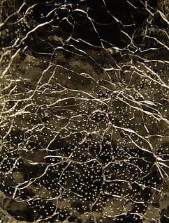 modèle, structure, Contexte, verre incassable, verre brillant, des fissures, noir et blanc, la nature, arrière-plans, personne, plein cadre, fermer, nuit, eau, à l'intérieur, abstrait, laissez tomber, texturé, complexité, humide, arbre nu, arbre, plante, 2K, CC0, domaine public, libre de droits