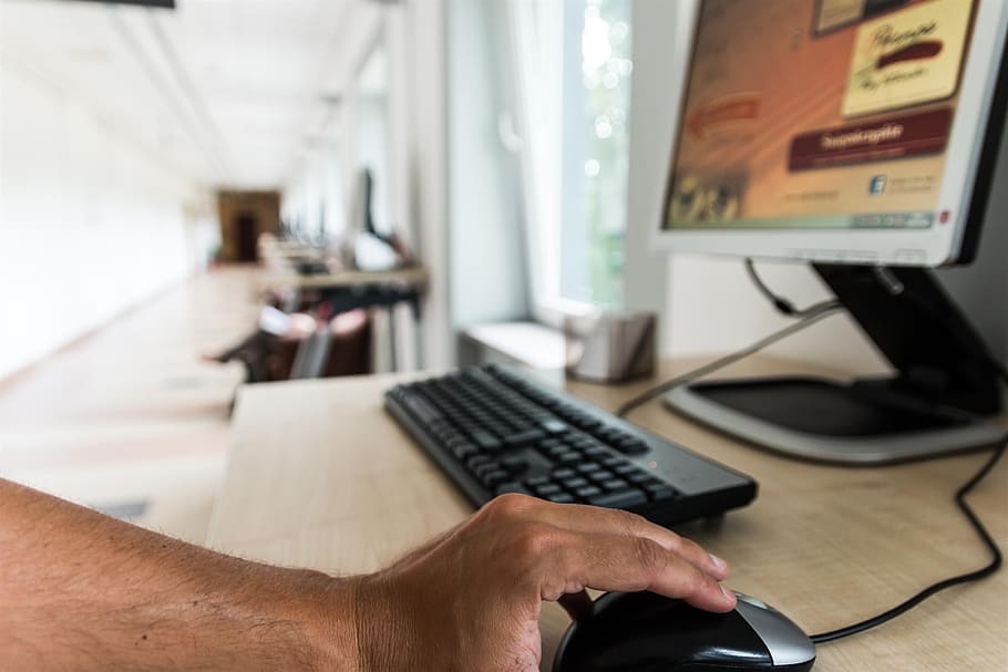 person, hånd, sort, grå, trådede, bibliotek, Bestil, læsning, computere, uddannelse, viden, leje, Kielce, denne bog er, bøger i biblioteket, Læs, computermus, computer, teknologi, computer tastatur, computerskærm, forretning, internet, skrivebord, desktop pc, kontor, pc, computerudstyr, møbel, indendørs, meddelelse, menneskelig hånd, forbindelse, menneskelig kropsdel, tastatur, bord, bruger computer, finger, 2K