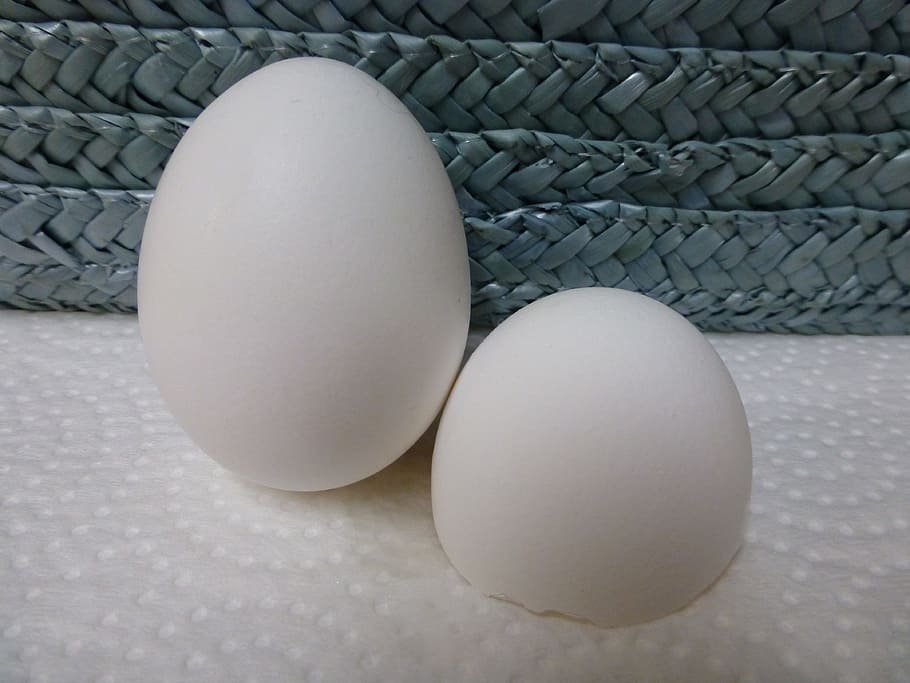 ou, pollastre, blanc, trencat, menjar, granja, natural, orgànic, aus de corral, pollet, ous, ous d’animals, aliments crus, primer pla, esmorzar, frescor, alimentació saludable, menjar i beguda, marró, ingredient, pilota, a l'interior, textura, esport, cap gent, natura morta, benestar, Color blanc, patró, vista d’angle alt, sol objecte, vímet, dia, taula, 4K