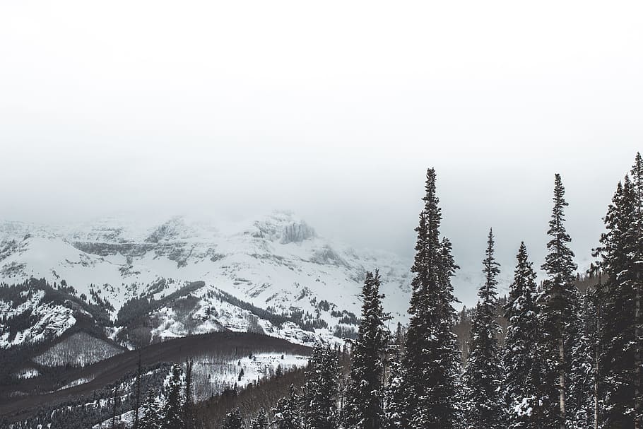 Schnee, bedeckt, Berg, tagsüber, Grün, Laubbäume, Luftbild, Kiefern, Nimbus, Wolken, Hintergrund, Wald, Winter, Wolke, Natur, Baum, Landschaft, szenen, draußen, kalte Temperatur, Kiefer, keine Leute, Himmel, Schönheit in der Natur, Gebirge, Tannenbaum, Nicht-städtische Szene, Nebel, Szenen - Natur, Pflanze, ruhige Szene, Ruhe, Umgebung, Land, Nadelbaum, Kiefernwald, schneebedeckter Berg, 5K