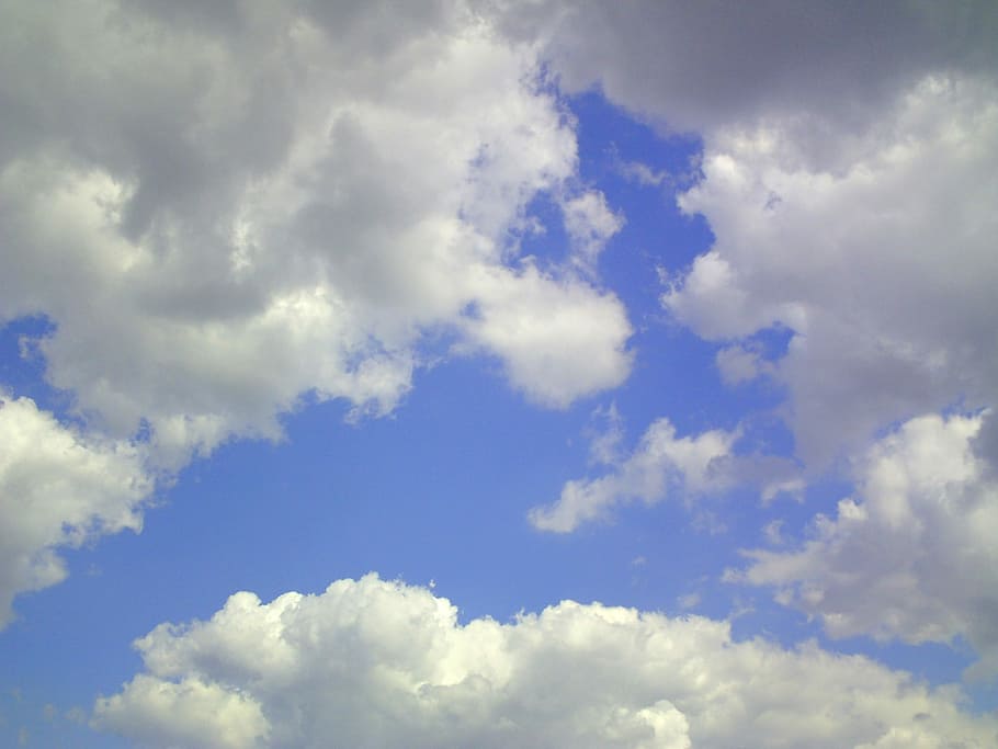 cúmulus, núvols, cel blau, Cúmulus, núvols, cel, blau, Agost, estiu, naturalesa, bon temps, blanc, el cel, formen núvols, cloudformation, sol, núvol de munt de, núvol, dinar, al migdia, al mig, la majoria, dia, migdia, núvol - cel, fons, temps, bellesa a la natura, escenics - natura, cloudscape, vista d’angle baix, cap gent, tranquil·litat, medi ambient, Color blanc, a l'aire lliure, idíl·lic, escena tranquil·la, meteorologia, 2K