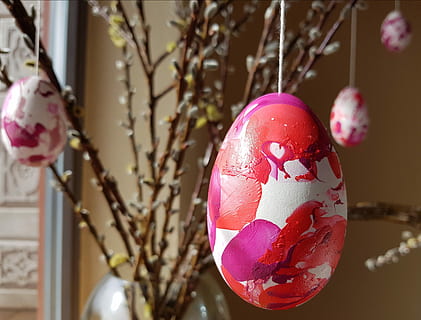 Pasqua, ou, pintat, salutació de pasqua, ou de gallina, rosa, vermell, violeta, ram de Pasqua, pastures, celebració, festa, decoració, ou de Pasqua, centrar-se en primer pla, primer pla, arbre, color rosa, decoració de Nadal, cap gent, penjant, vacances - esdeveniment, religió, a l'interior, esdeveniment, adorn de Nadal, Festival, 2K, CC0, domini públic, lliure de regalies