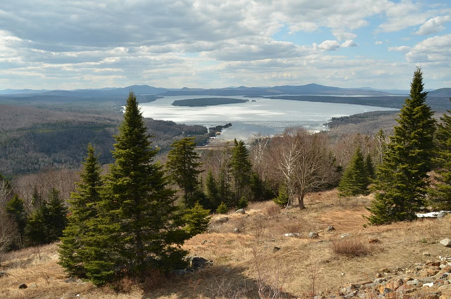 Wald, Baumsicht, Landschaft, Mehr, Baum, Aussicht, Natur, Amerika, Berg, Tag, keine Leute, szenen, Pflanze, Schönheit in der Natur, Himmel, wolke - himmel, ruhige Szene, Szenen - Natur, Ruhe, Wasser, Nicht-städtische Szene, Land, Wachstum, High Angle View, draußen, Nadelbaum, Gebirge, 4K