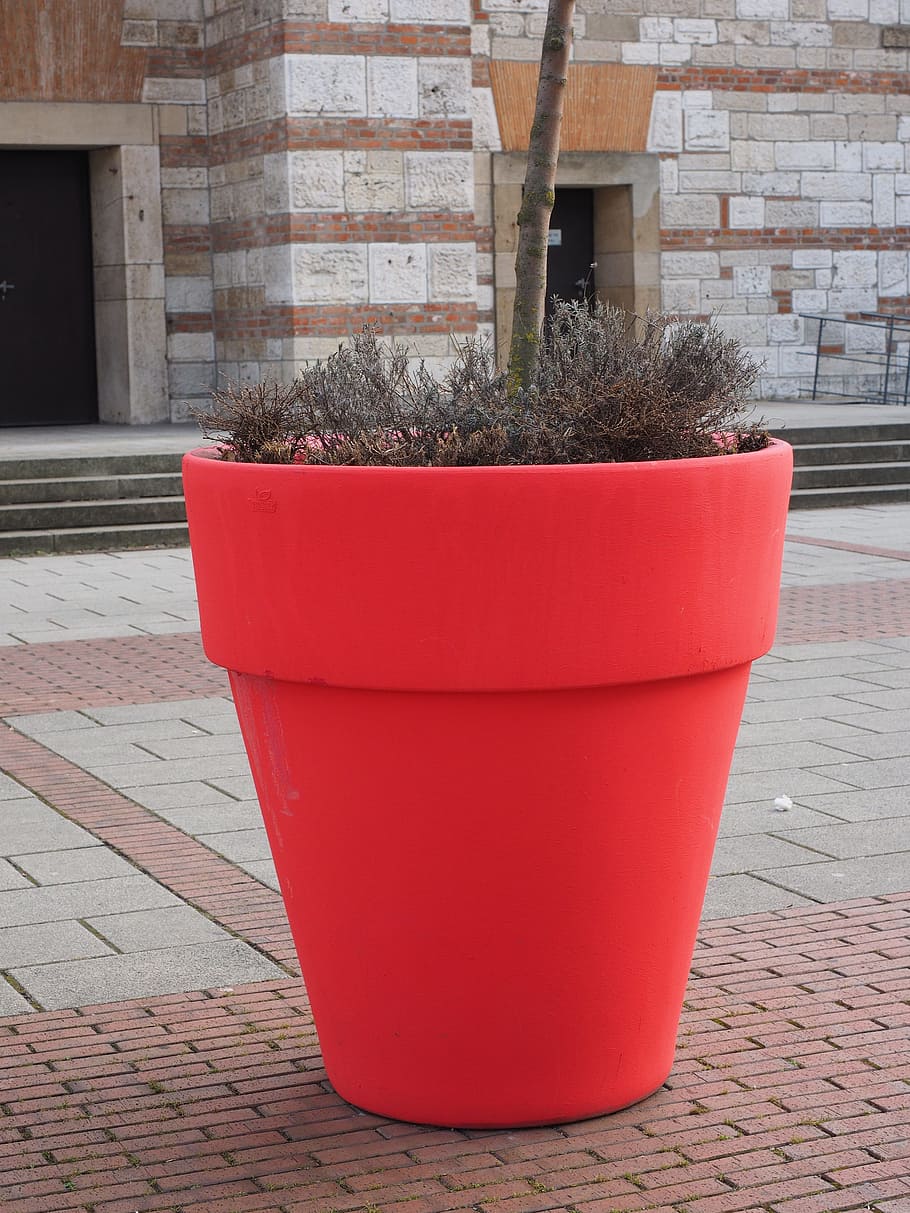 vaso di fiori, taglia grossa, rosso, architettura, struttura costruita, parete, esterno dell'edificio, giorno, mattone, muro di mattoni, sentiero, nessuno, costruzione, caratteristica della parete, all'aperto, strada, pianta in vaso, città, pianta, marciapiede, crescita, ciottolo, pavimentazione in pietra, 4K