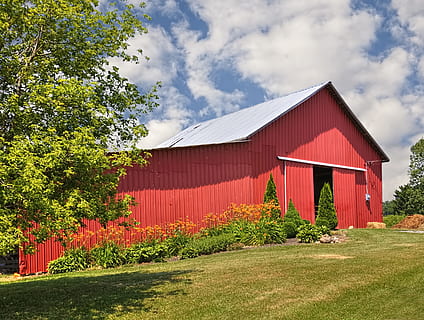 lade, rustik, staldene, ohio, digital kunst, landdistrikterne, naturskøn, Land, landskabet, landskab, skur, skure, gård, gårde, landbrug, landbrugs, stuehus, Champaign, region, americana, Foto, fotografi, struktur, strukturer, sturgell, william sturgell, bill sturgell, historisk, hjem indretning, bygninger, skyer, himmel, træ, træer, overskyet, ukrudt, champaign county, Urbana, bygget struktur, plante, arkitektur, bygning udvendig, sky - himmel, natur, rød, dag, ingen mennesker, græs, vækst, bygning, udendørs, grøn farve, sollys, jord, Mark, 4K, CC0, offentligt domæne, royaltyfrie