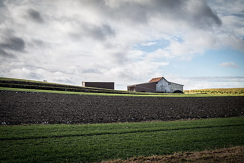 escala, granero, campos, nubes, agricultura, choza, edificios de granja, agrícola, cultivable, un solo hombre, campo, escena rural, una persona, Sólo para adultos, cielo, nube - cielo, arquitectura, tierra, paisaje, estructura construida, planta, naturaleza, hierba, ambiente, edificio, exterior del edificio, granja, día, color verde, casa, nadie, al aire libre, 4K, CC0, dominio público, libre de derechos