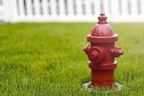selettivo, fotografia a fuoco, idrante, cane, rosso, fare pipì, all'aperto, erba, pianta, sicurezza, natura, nessuno, colore verde, campo, protezione, giorno, metallo, terra, concentrarsi sulle conoscenze acquisite, avvicinamento, incidenti e disastri, prato, singolo oggetto, 1080P, CC0, dominio pubblico, privo di copyright