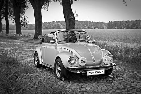 vecchi tempi, vw, vw beetle, convertibile, classico, volkswagen, vecchio, volkswagen vw, auto, in stile retrò, vecchio stile, veicolo terrestre, all'aperto, antico, mezzi di trasporto, cromo, obsoleto, modo di trasporto, veicolo a motore, pianta, albero, storia, nostalgia, il passato, erba, macchina vintage, campo, auto da collezione, giorno, terra, natura, 5K, CC0, dominio pubblico, privo di copyright