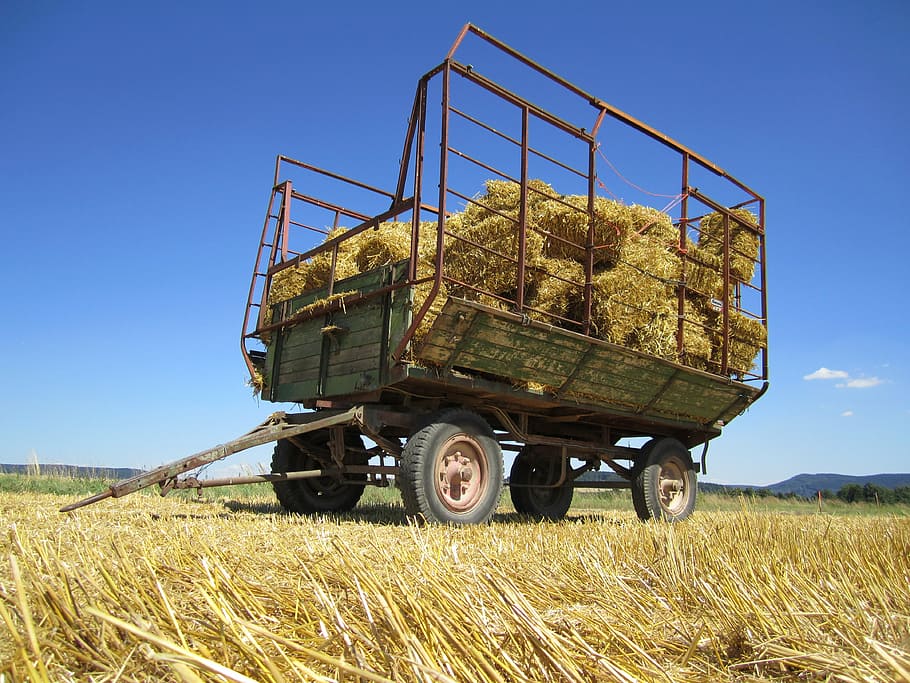 Ernte, bauer, Feldarbeit, Acker-, Getreide, Landwirtschaft, Natur, Stroh, Feld, Strohballen, Stoppel, Heuballen, Erntezeit, ländlich, geerntet, Sommer-, Landliebe, Bauernhof, Getreidepflanze, Mähdrescher, landwirtschaftliche Maschinen, ländliche Szene, Transport, Himmel, Landschaft, Land, Pflanze, Landfahrzeug, Tag, Transportmittel, klarer Himmel, Wachstum, draußen, 4K