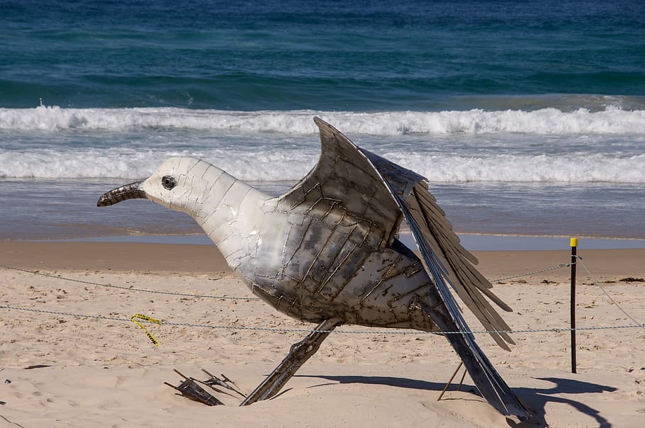 Möwe, groß, Modell-, Skulptur, Kunst, Vogel, zeitgemäß, modern, Strand, Meer, Surfen, Australien, Ausstellung, Wasser, Land, Sand, Tier, Tierthemen, Tierwelt, Wirbeltier, Natur, Tiere in freier Wildbahn, ein Tier, Schönheit in der Natur, Tag, keine Leute, draußen, Bewegung, Sonnenlicht, Marine, 2K