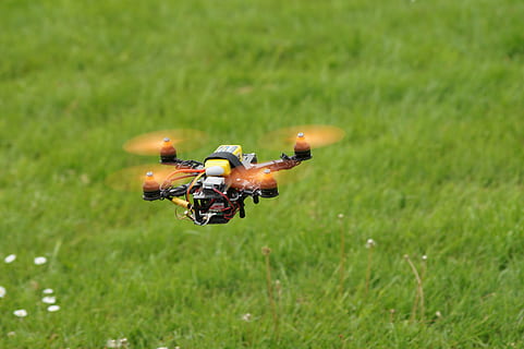 สีดำ, สีเหลือง, เสียงหึ่งๆ, พื้น, สนาม, multicopter, กีฬา, ความเร็ว, การกระทำ, กีฬาผาดโผน, การแข่งขัน, กลางแจ้ง, ปลูก, หญ้า, ธรรมชาติ, ที่ดิน, สีเขียว, วัน, การเจริญเติบโต, สัตว์, ไม่มีคน, ธีมสัตว์, สัตว์ที่ไม่มีกระดูกสันหลัง, สัตว์ป่า, สัตว์ในป่า, สัตว์หนึ่งตัว, มุ่งเน้นไปที่เบื้องหน้า, แมลง, เลือกโฟกัส, ใกล้ชิด, ปีกสัตว์, 5K, CC0, โดเมนสาธารณะ, ค่าลิขสิทธิ์ฟรี