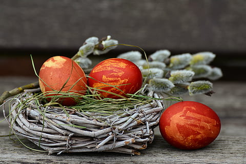 Trei, roșu, maro, ouă, cuib, oua de Paste, cuib de paste, decor de Paști, Paști, ou, Paste Fericit, Salutări de Paște, decoratiuni de Paști, personalizat, vegetal, mancare si bautura, nici o persoana, mâncat sănătos, alimente, în interior, celebrare, studio shot, prospeţime, zi, fruct, bunăstare, natură moartă, roșie, masa, a închide, lemn - material, să se concentreze asupra primelor elemente, vacanţă, 5K, CC0, domeniu public, fără drepturi de autor
