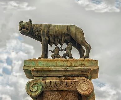 Vlčice, romulus, remus, socha, nebe, mraky, umělecká díla, sochařství, Řím, Itálie, mrak - nebe, Dějiny, nikdo, den, zastoupení zvířat, umění a řemesla, zastoupení, tvořivost, architektura, minulost, řemeslo, savec, Příroda, zvíře, nízký úhel pohledu, destinace, zvířat, chrlič, 2K, CC0, veřejná doména, bez autorských práv
