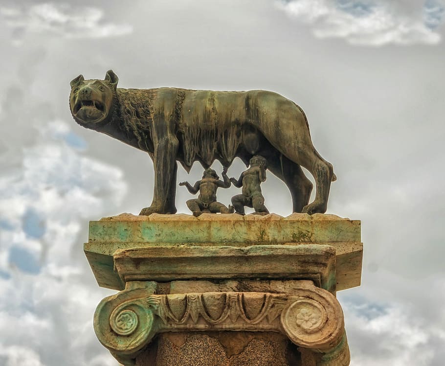 shewolf, romulus, remus, estàtua, cel, núvols, obra d'art, escultura, Roma, Itàlia, núvol - cel, història, cap gent, dia, representació animal, art i artesania, representació, creativitat, arquitectura, el passat, artesania, mamífer, naturalesa, animal, vista d’angle baix, destinacions de viatge, fauna animal, gàrgola, 2K