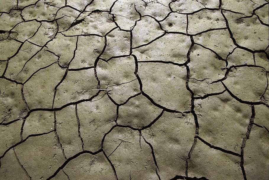 terra seca, fang, sequera, sòl, esquerdes, argila, petjades, terra, quarts, camp, marró, desert, al sud, abrasador, esquerdat, clima àrid, fons, patró, naturalesa, textura, marc complet, sec, clima, medi ambient, patró natural, escenics - natura, cap gent, vista d’angle alt, dia, terrenys extrems, estèril, a l'aire lliure, 5K