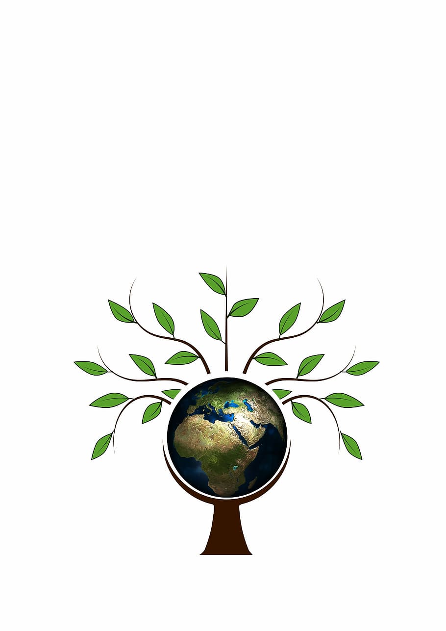 il lustració del món, arbre, estètic, registre, corona, logotip, emblema, icona, capçalera, símbol, energia, renovable, globus, humà, terra, món, humanitat, siluetes, grup, junts, població, grup de persones, generació d'energia, eco, medi ambient, l'energia ecològica, endavant, producció d’electricitat, corrent, bosc, fulles, branques, planta, fusta, naturalesa, escorça, calor, cremar, llenya, full, aïllat, color verd, tir de l'estudi, fons blanc, còpia espai, part de la planta, a l'interior, forma geomètrica, cercle, primer pla, creixement, forma, cap gent, tallar, esfera, decoració, disseny, reflexió, compost digital, 4K