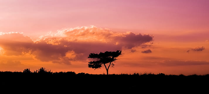 arbre, posta de sol, paisatge, cel, núvols, naturalesa, tardor, colors, sol, kapparis, Xipre, silueta, núvol - cel, bellesa a la natura, color taronja, escenics - natura, cap gent, planta, tranquil·litat, medi ambient, escena tranquil·la, a l'aire lliure, vespre, cel dramàtic, idíl·lic, terra, 5K, CC0, domini públic, lliure de regalies