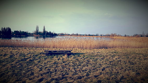 brun, gressfelt, innsjø, dagslys, gress, myr, natur, utendørs, elv, scenisk, vann, ro, himmel, rolig scene, anlegg, naturskjønnhet - natur, tre, ingen folk, land, skjønnhet i naturen, felt, dag, ikke-urbane scene, vignett, landskap, automatisk postproduksjonsfilter, nautisk fartøy, 1080P, CC0, offentlig domene, opphavsrett gratis