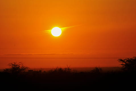 gouden uurfoto, zonsondergang, hemel, zon, avond, gloed, oranje, landschap, toneel-, platteland, schemer, natuur, zonlicht, Oranje kleur, silhouet, zonsopgang - ochtendgloren, dageraad, buitenshuis, zomer, Vakantiebestemmingen, schoonheid in de natuur, scenics - natuur, rustige scène, kalmte, geen mensen, fabriek, idyllisch, niet-stedelijke scène, boom, dramatische hemel, horizon over water, romantische hemel, 4K, CC0, publiek domein, royaltyvrij