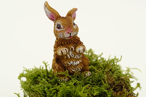 Ostern, Osterhase, Osterfeier, Hase, osterkarte, Postkarte, Grußkarte, Tier, Tierthemen, Säugetier, Feier, Urlaub, Tierdarstellung, keine Leute, Darstellung, Kaninchen - Tier, Natur, Lebensmittel, ein Tier, Dekoration, Pflanze, drinnen, Tierwelt, 5K, CC0, gemeinfrei, lizenzfrei