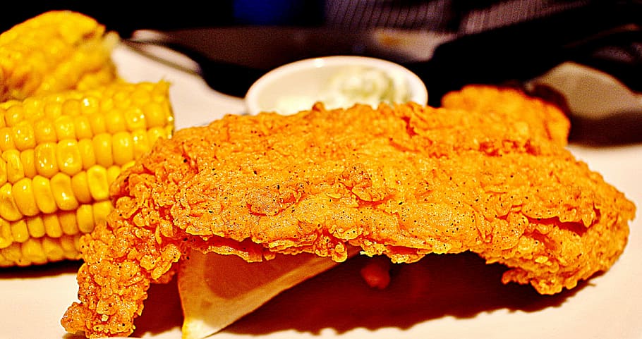 Outback, bistec, khobar, peix, filet, menjar, llimona, calenta, saudita, àrab, oriental, amanida, dieta, fregit, blat de moro, menjar i beguda, frescor, primer pla, llest per menjar, menjar asiàtic, centrar-se en primer pla, cap gent, placa, benestar, alimentació saludable, a l'interior, negocis, groc, enfocament selectiu, indulgència, mida de la porció, natura morta, menjar indi, berenar, menjar xinès, temptació, menjar japonès, menjar de conveniència, 4K