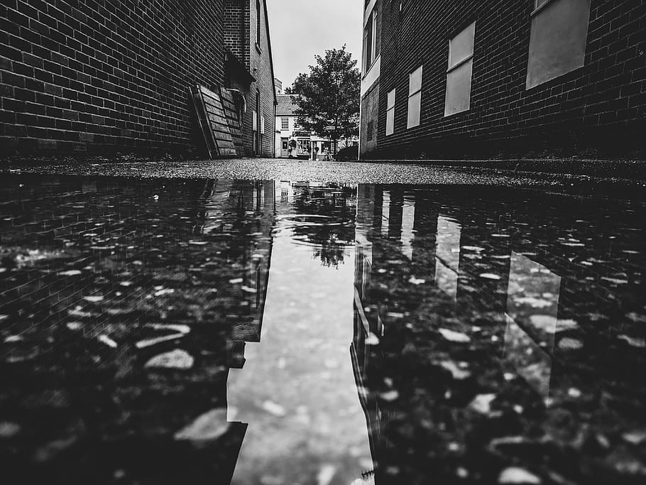 fotografia en escala de grisos, aigua, al costat, edificis, bassal, humit, reflexió, ciutat, carrer, urbà, edifici, paret, maó, carreró, arbre, palet, casa, casa de camp, exterior de l'edifici, estructura construïda, arquitectura, nivell superficial, naturalesa, cap gent, dia, davant del mar, cel, a l'aire lliure, enfocament selectiu, transport, canal, exterior d’edifici d’oficines, pluja, 4K