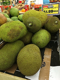 jackfruit, verdura, mercato, fresco, dolce, frutta, asiatico, pianta, cibo, Tailandia, Asia, freschezza, cibo e bevande, mangiare sano, benessere, nessuno, in vendita, grande gruppo di oggetti, colore verde, Al dettaglio, abbondanza, bancarella, giorno, natura morta, avvicinamento, all'aperto, attività commerciale, pila, 4K, CC0, dominio pubblico, privo di copyright