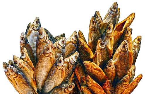 fish, cod, dried, dörr fish, dried fish, food, baltic states, riga, market hall, estonia, food-photography, isolated, white background, seafood, food and drink, no people, indoors, studio shot, animal, freshness, close-up, vertebrate, healthy eating, cut out, wellbeing, still life, raw food, group of animals, animal themes, day, 4K, CC0, public domain, royalty free