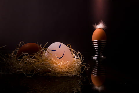 Weiß, braun, Ei, Nest, Ostern, Ostereier, glückliche Eier, dunkle Stimmung, lichtspiel, Hintergrund, Dunkelheit, Licht, beleuchtet, Sicherheit, erholt, Lebensmittel, Tiernest, tierisches Ei, Essen und Trinken, Notgroschen, keine Leute, Tier, Natur, gebrochen, drinnen, Investition, Anfänge, Stroh, Urlaub, Darstellung, Vogel, Zerbrechlichkeit, Verletzlichkeit, schwarzer Hintergrund, 4K, CC0, gemeinfrei, lizenzfrei