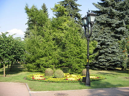 zentralen Platz, Stavropol, Laterne, Baum, Natur, Park - menschgemachter Raum, formaler Garten, draußen, Pflanze, Wachstum, grüne Farbe, Strassenlicht, Lichtanlage, Tag, Fußweg, keine Leute, Straße, Park, Gras, Schönheit in der Natur, Sonnenlicht, Garten, gebaute Struktur, die Architektur, 1080P, CC0, gemeinfrei, lizenzfrei