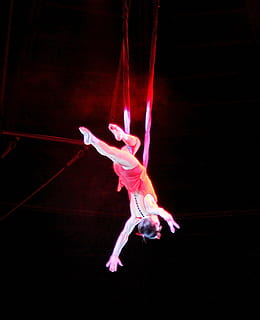 žena, provádění, akrobatický, kousky, šedý, pokoj, místnost, cirkus, trapéz, zábava, výkon, dívka, show, akrobat, gymnastika, Zůstatek, umělec, mladý, sport, pověsit, kostým, uvnitř, plná délka, černé pozadí, tanec, pohyb, jedna osoba, moře, dovednost, pod vodou, jednoho zvířete, balet, voda, závěsný, svítí, zvířat, tanečník baletu, lidské paže, etapa, 2K, CC0, veřejná doména, bez autorských práv