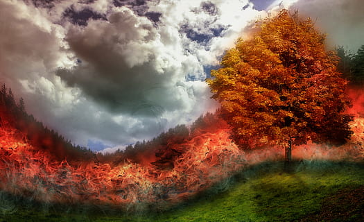 สีน้ำตาล, ต้นไม้, grassfield, ไฟ, ยี่ห้อ, ไฟป่า, เปลวไฟ, ทุ่งหญ้า, Photoshop, ลักษณะที่ไม่ยั่งยืน, ธรรมชาติ, ฤดูใบไม้ร่วง, สีแดง, ป่า, กลางแจ้ง, ใบไม้, ภูมิประเทศ, หลายสี, สีเหลือง, เมฆ - ท้องฟ้า, ปลูก, ความงามในธรรมชาติ, ท้องฟ้า, ไม่มีคน, เปลี่ยนแปลง, Scenics - ธรรมชาติ, ความเงียบสงบ, ฉากที่เงียบสงบ, การเจริญเติบโต, ที่ดิน, วัน, สีส้ม, สิ่งแวดล้อม, พลังในธรรมชาติ, 1080P, CC0, โดเมนสาธารณะ, ค่าลิขสิทธิ์ฟรี