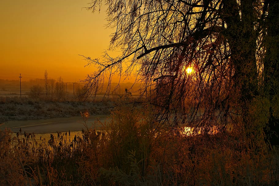 riu, hivern, posta de sol, paisatge, riu congelat, hivern de conte de fades, podlasie, Polònia, arbre, tranquil·litat, cel, planta, escena tranquil·la, bellesa a la natura, naturalesa, escenics - natura, cap gent, terra, aigua, escena no urbana, medi ambient, sol, boira, color taronja, creixement, a l'aire lliure, 2K